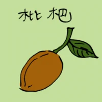 Loquat (3873) illustration
