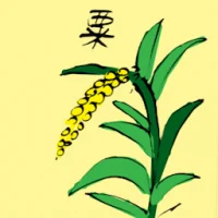 Millet (3875) illustration