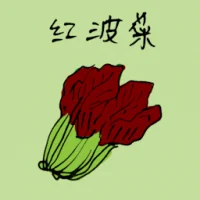 Red Spinach (3876) illustration