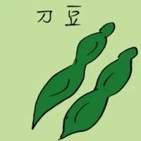 刀豆 (3878) illustration