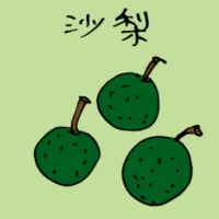 Asian Pear (3885) illustration