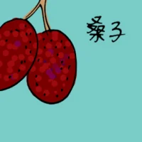 Mulberry (3888) illustration