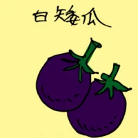 White Eggplant (3891) illustration