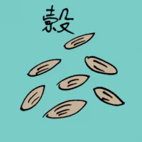 Paddy (3892) illustration
