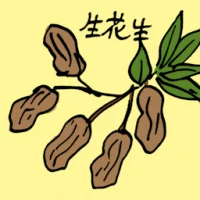 Raw Peanut (3898) illustration