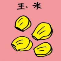 Corn (3900) illustration