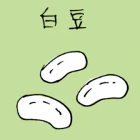 白豆 (3901) illustration