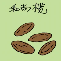 和尚榄 (3907) illustration