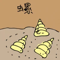 Spiral Shell (3912) illustration