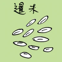 Thai Rice (3914) illustration