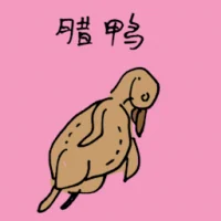 Preserved Duck (3915) illustration