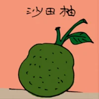 Shatian Pomelo (3945) illustration