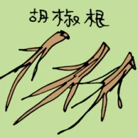 Pepper Root (3958) illustration