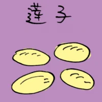 Lotus Seed (3960) illustration