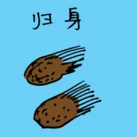Chinese Angelica Root (3975) illustration