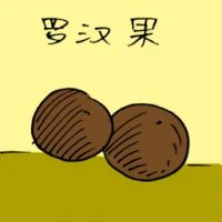 Monk Fruit (3979) illustration