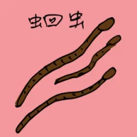Round Worm (3982) illustration