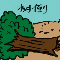 Uprooted Tree (4034) illustration