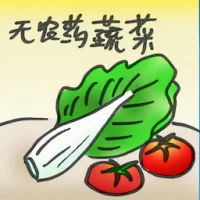 Chemical-Free Vegetables (4392) illustration
