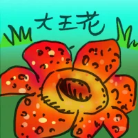 Rafflesia (4412) illustration