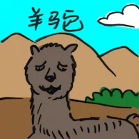Alpaca (4456) illustration