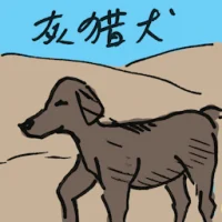 Greyhound (4483) illustration