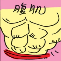 Abdominals (4495) illustration