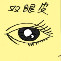 Eyelid (4504) illustration