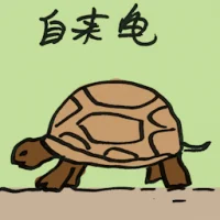 Unsolicited Turtle (4535) illustration