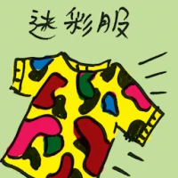 Camouflage (4578) illustration