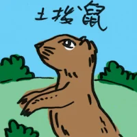 Groundhog (4592) illustration