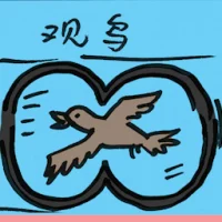 Bird Watching (4656) illustration