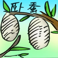 Lying Silkworm (4758) illustration
