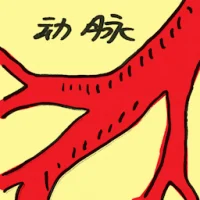 Artery (4805) illustration