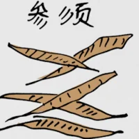 Ginseng Tails (5023) illustration