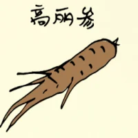 Korean Ginseng (5027) illustration