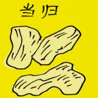 Angelica Root Extract (5074) illustration