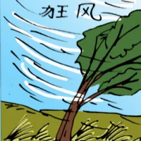 Storm (5152) illustration