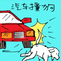 Dog Hit By Car (5399) illustration