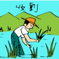 Harvesting (5419) illustration