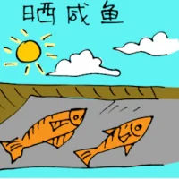 Drying Salted Fish (5440) illustration