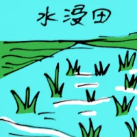 Fields Flooded (5506) illustration