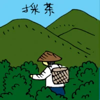 Plucking Tea Leaves (5512) illustration