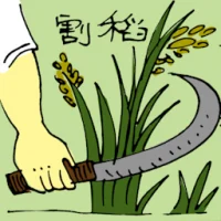 Cutting Paddy (5517) illustration