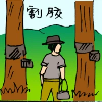 Tapping Rubber (5566) illustration