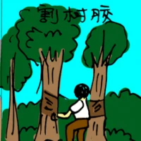 Tapping Rubber (5684) illustration