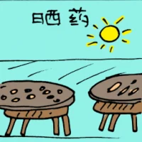 Drying Chinese Medicinal Herbs (5727) illustration