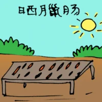 Drying Chinese Sausage / Lap Cheong (5755) illustration
