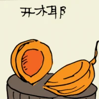 Opened Coconut (5759) illustration