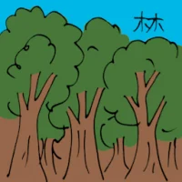 Tropical Forest (6069) illustration